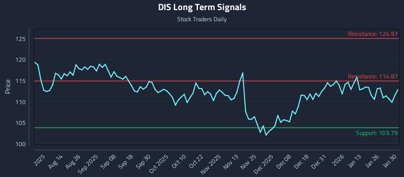 DIS Long Term Analysis for January 30 2026 DIS Long Term Analysis for January 30 2026