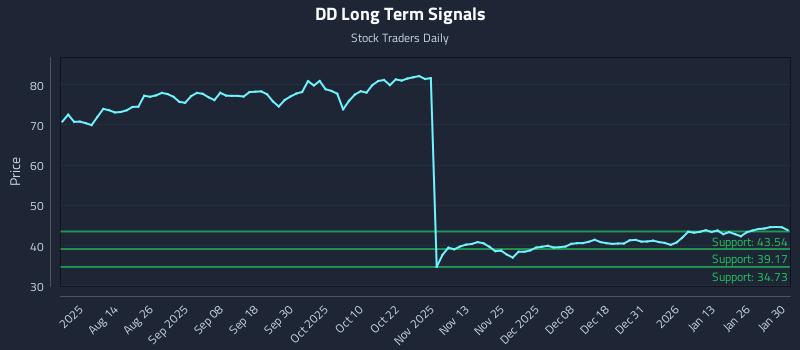 DD Long Term Analysis for January 31 2026