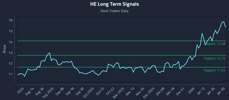 HE Long Term Analysis for January 31 2026
