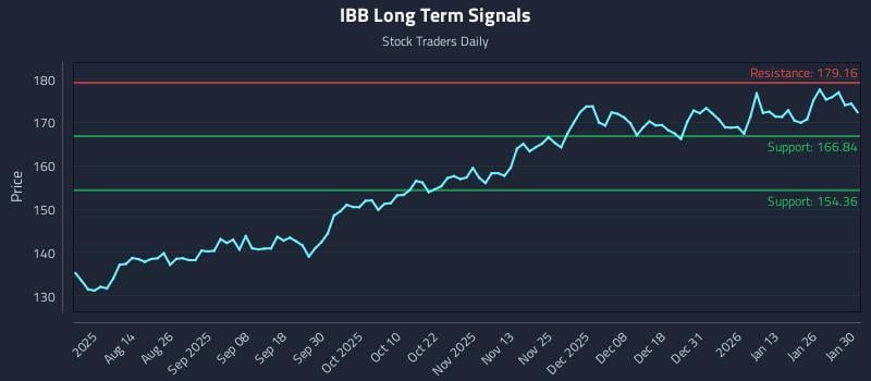 IBB Long Term Analysis for January 31 2026