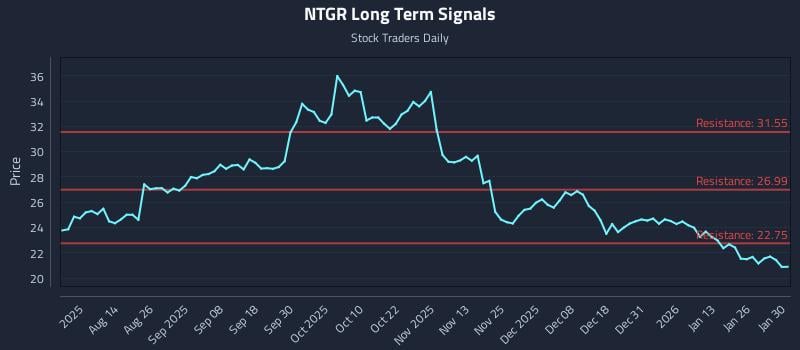 NTGR Long Term Analysis for January 31 2026