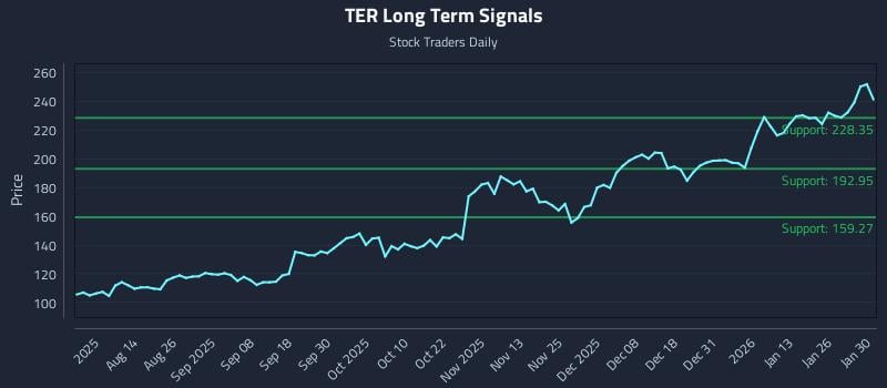 TER Long Term Analysis for January 31 2026
