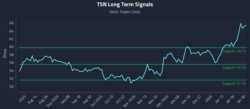 TSN Long Term Analysis for January 31 2026