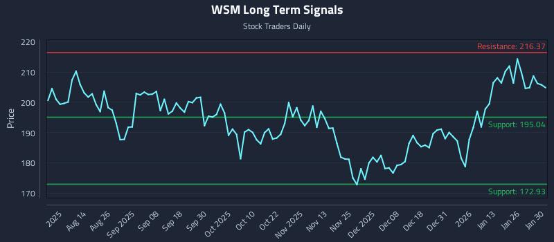 WSM Long Term Analysis for January 31 2026 WSM Long Term Analysis for January 31 2026