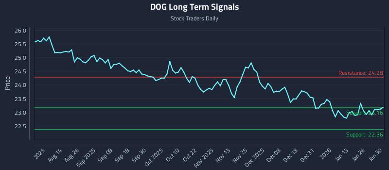DOG Long Term Analysis for January 31 2026