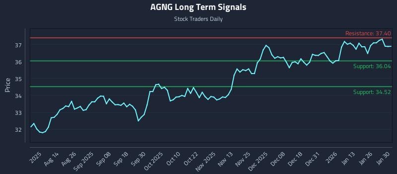 AGNG Long Term Analysis for February 1 2026