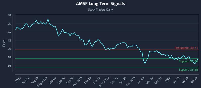 AMSF Long Term Analysis for February 1 2026