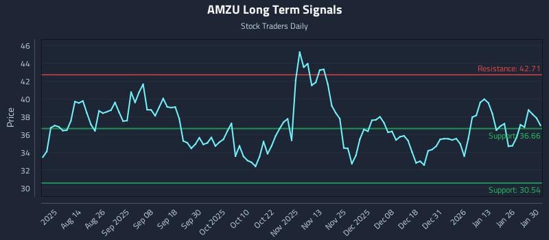 AMZU Long Term Analysis for February 1 2026