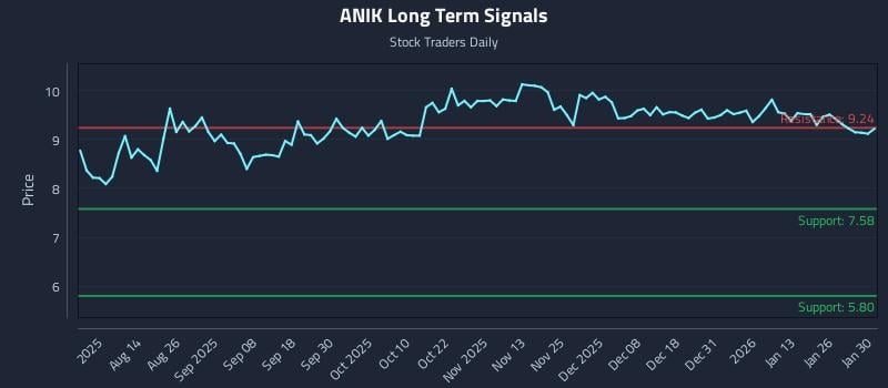 ANIK Long Term Analysis for February 1 2026