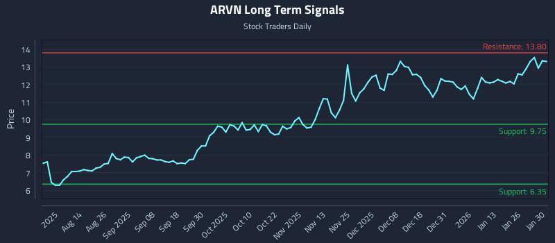 ARVN Long Term Analysis for February 1 2026