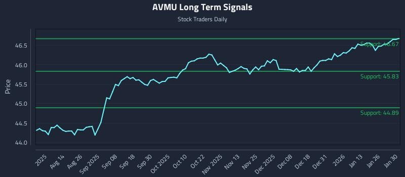 AVMU Long Term Analysis for February 1 2026