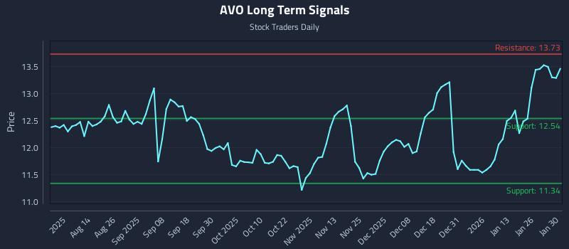 AVO Long Term Analysis for February 1 2026