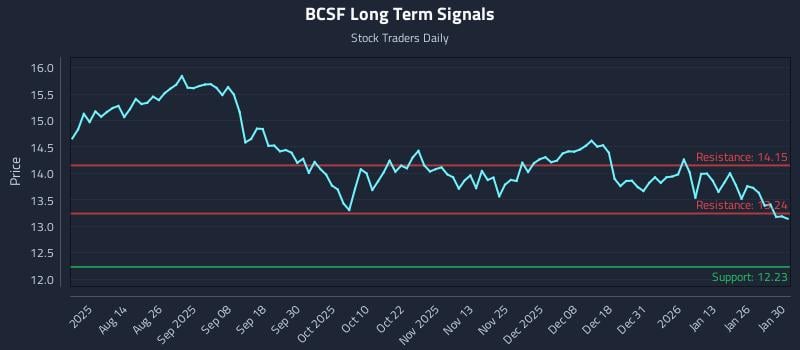 BCSF Long Term Analysis for February 1 2026