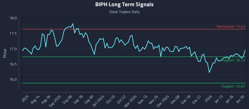 BIPH Long Term Analysis for February 1 2026