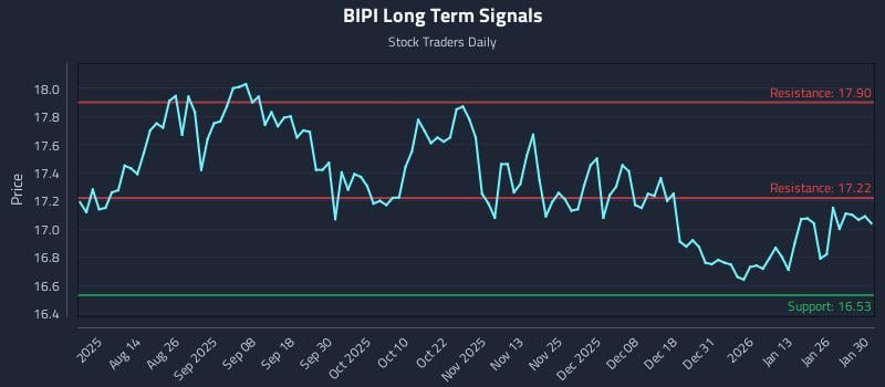 BIPI Long Term Analysis for February 1 2026