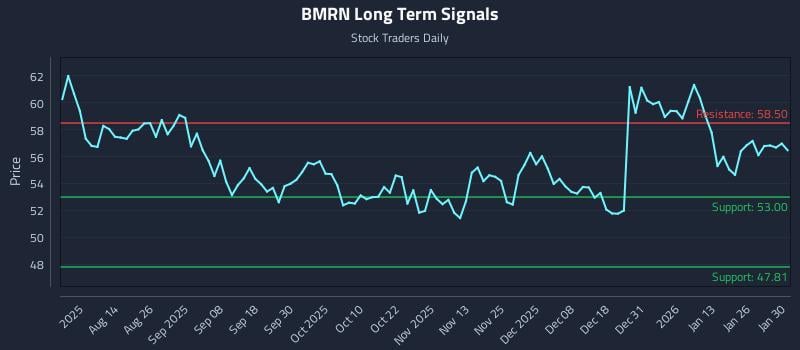 BMRN Long Term Analysis for February 1 2026 BMRN Long Term Analysis for February 1 2026