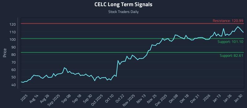 CELC Long Term Analysis for February 1 2026