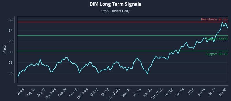 DIM Long Term Analysis for February 2 2026