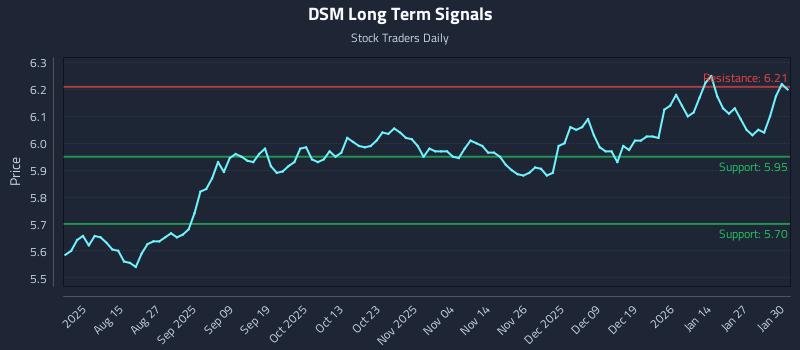 DSM Long Term Analysis for February 2 2026