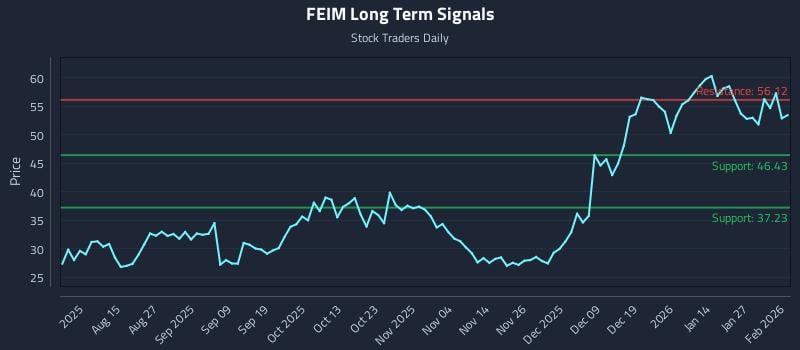 FEIM Long Term Analysis for February 2 2026