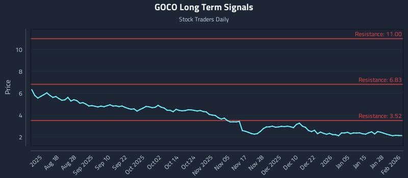 GOCO Long Term Analysis for February 3 2026
