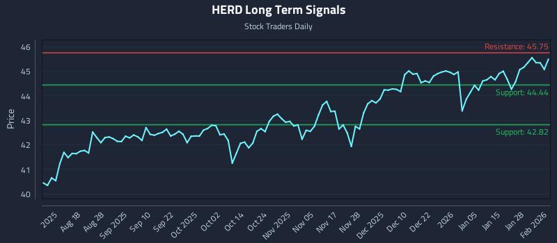 HERD Long Term Analysis for February 3 2026