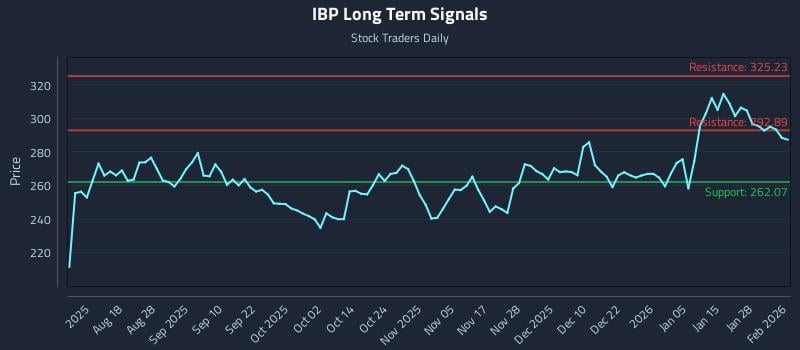 IBP Long Term Analysis for February 3 2026