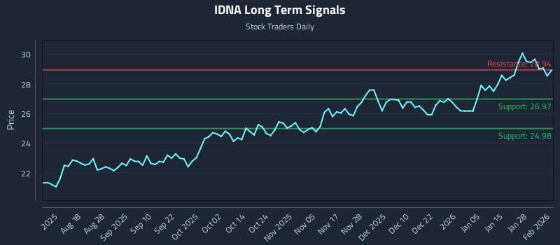 IDNA Long Term Analysis for February 3 2026
