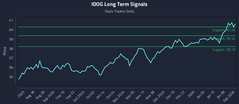 IDOG Long Term Analysis for February 3 2026