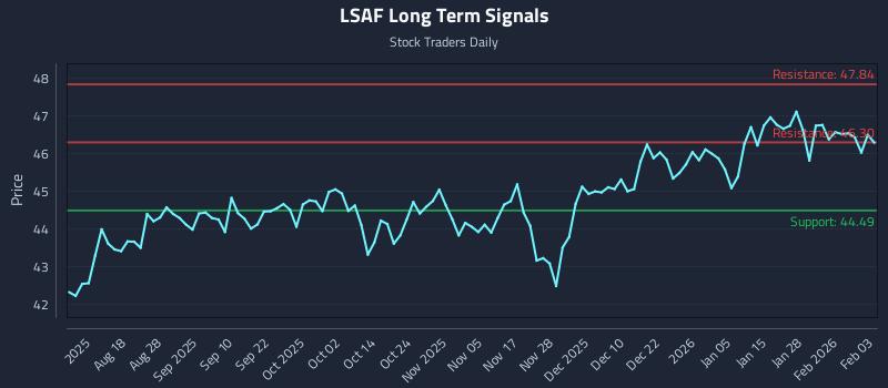 LSAF Long Term Analysis for February 3 2026