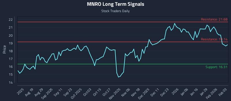 MNRO Long Term Analysis for February 4 2026