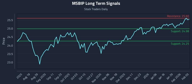 MSBIP Long Term Analysis for February 4 2026