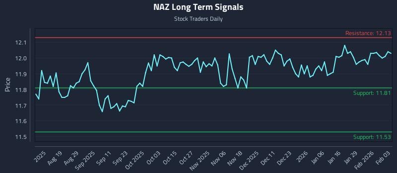 NAZ Long Term Analysis for February 4 2026