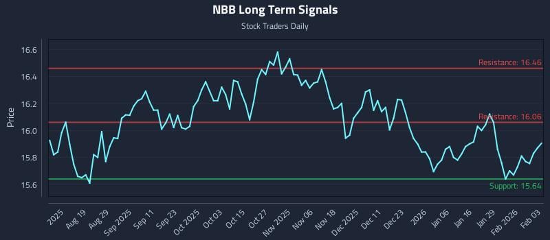 NBB Long Term Analysis for February 4 2026