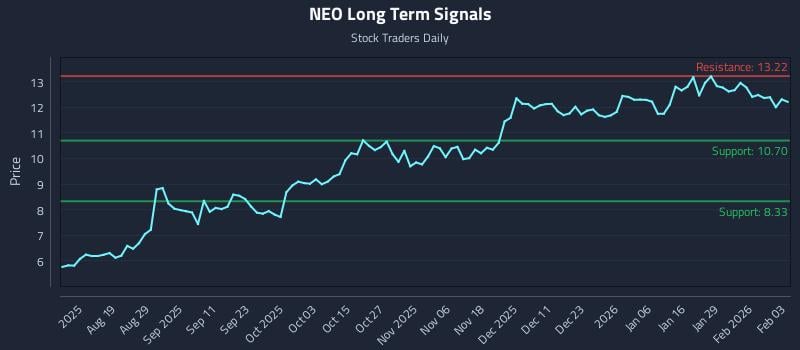 NEO Long Term Analysis for February 4 2026
