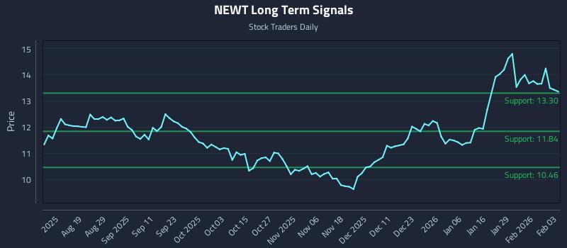 NEWT Long Term Analysis for February 4 2026