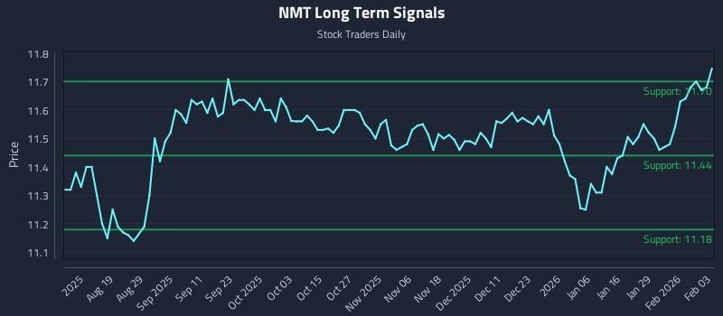 NMT Long Term Analysis for February 4 2026