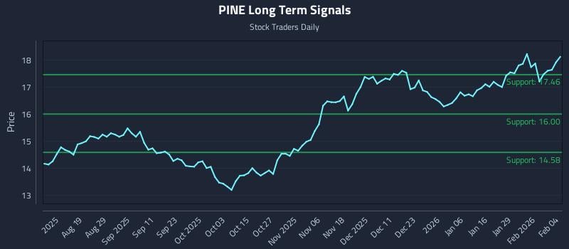 PINE Long Term Analysis for February 4 2026