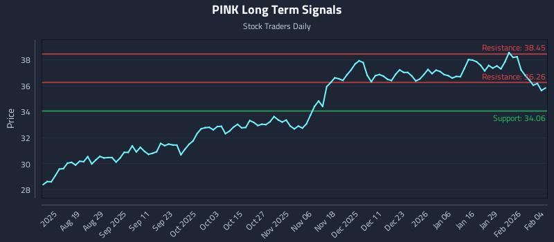 PINK Long Term Analysis for February 4 2026