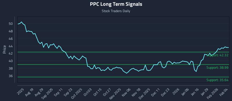 PPC Long Term Analysis for February 4 2026 PPC Long Term Analysis for February 4 2026
