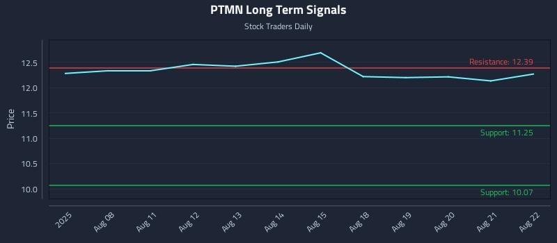 PTMN Long Term Analysis for February 4 2026