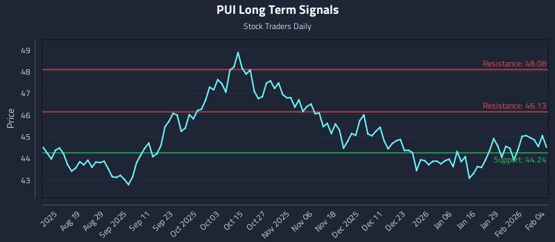 PUI Long Term Analysis for February 4 2026