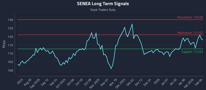 SENEA Long Term Analysis for February 5 2026