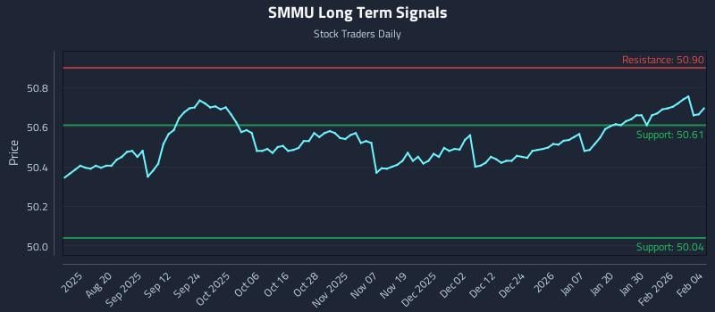 SMMU Long Term Analysis for February 5 2026 SMMU Long Term Analysis for February 5 2026