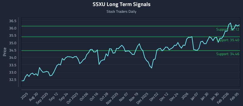SSXU Long Term Analysis for February 5 2026