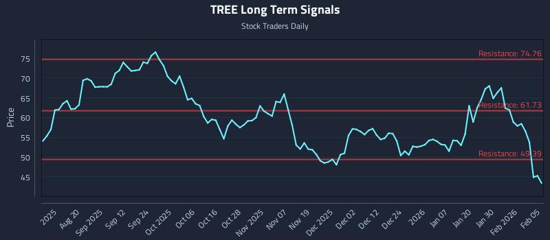 TREE Long Term Analysis for February 5 2026