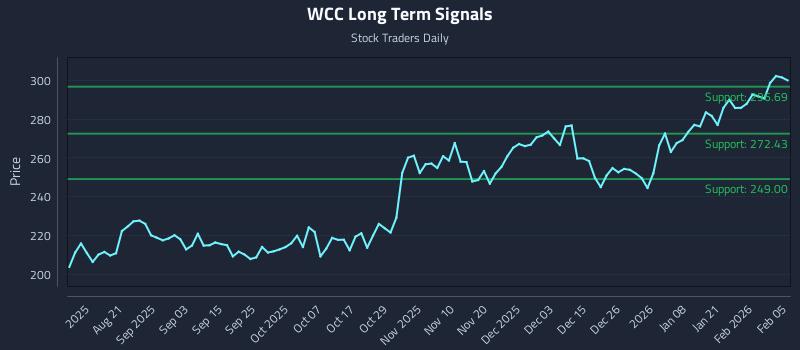 WCC Long Term Analysis for February 6 2026