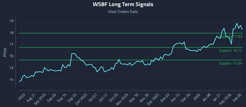 WSBF Long Term Analysis for February 6 2026