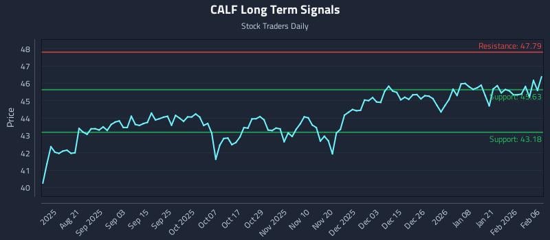 CALF Long Term Analysis for February 6 2026