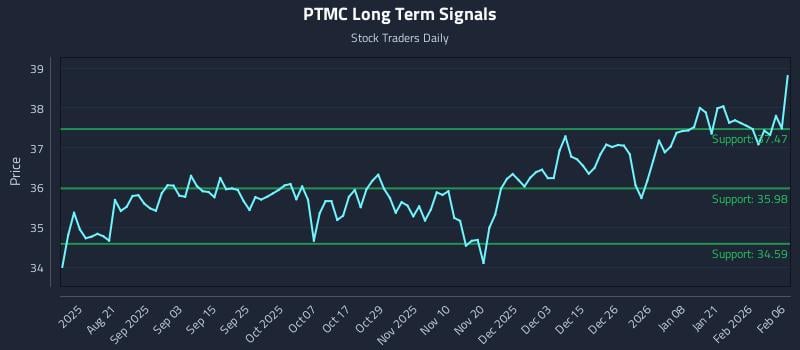 PTMC Long Term Analysis for February 6 2026